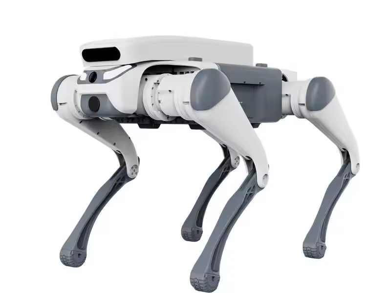 스턴트 원격 조종 교육용 장난감 지능형 급식기 터치 센 - Robot Remote Control 리뷰 및 가격